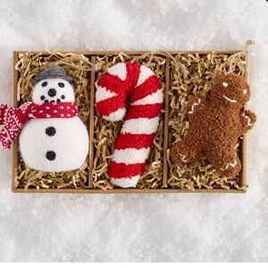 🎄Pottery Barn🎄Holiday Icons Ornament Set of 3